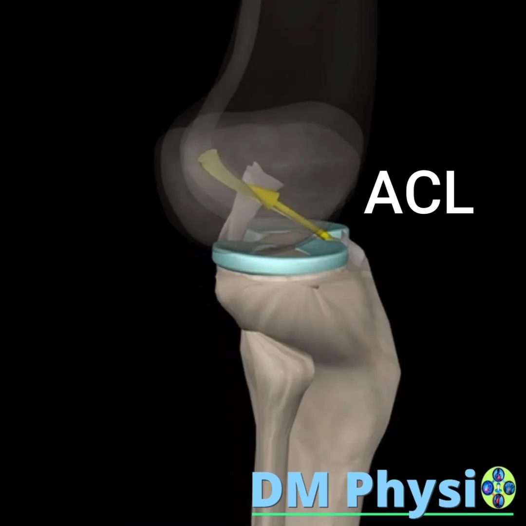 Как се къса ACL